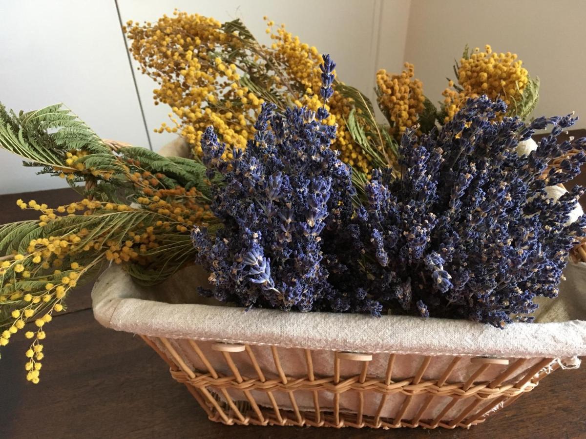 Mas Halcyon Provence Bed & Breakfast Авиньон Екстериор снимка
